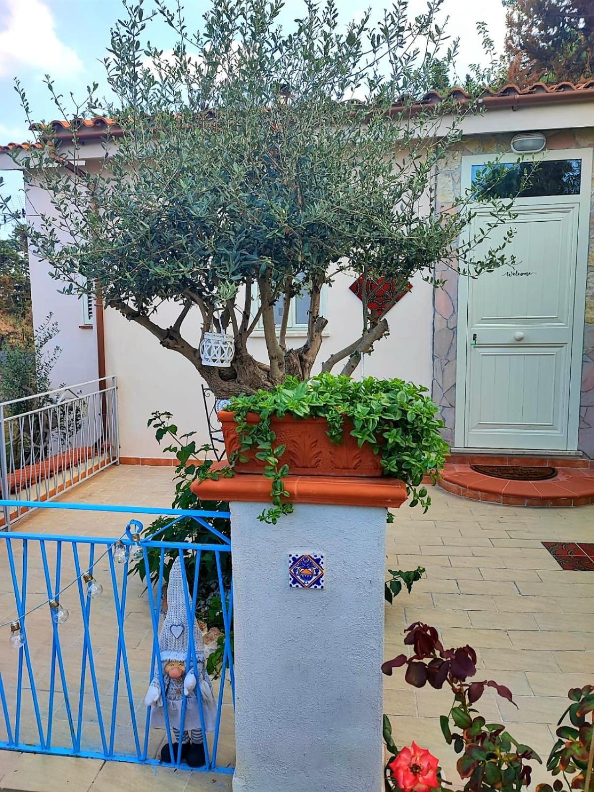 La Casetta Degli Ulivi Palermo Eksteriør bilde